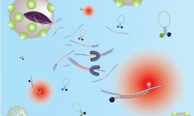 New PCR Test Identifies All COVID Variants in a Positive Patient Sample