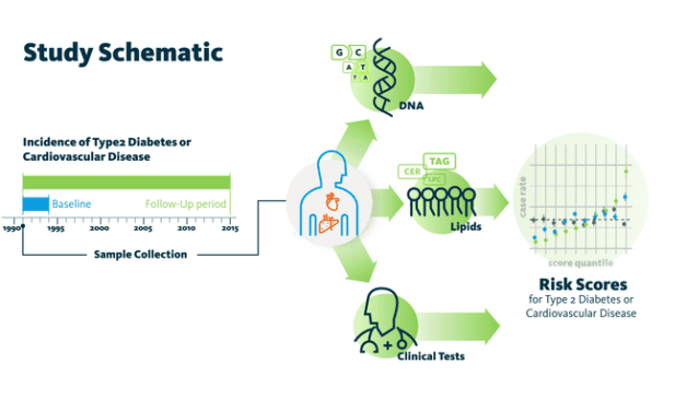 Lipid Profiling Predicts Diabetes, Cardiovascular Disease Risks Decades Early