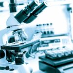 Forgetting the Lab Has Consequences