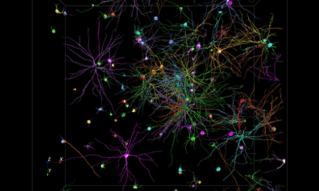Leica Microsystems Updates Avia Image Analysis Software