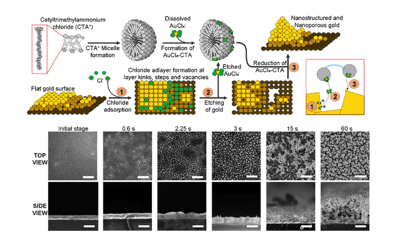 Researchers Develop Sensitive Biosensor for Reliable Diagnostics