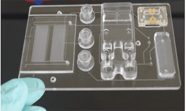 Center Creating Rapid Next-Gen Medical Tests Wins $6.6M NIH Funding