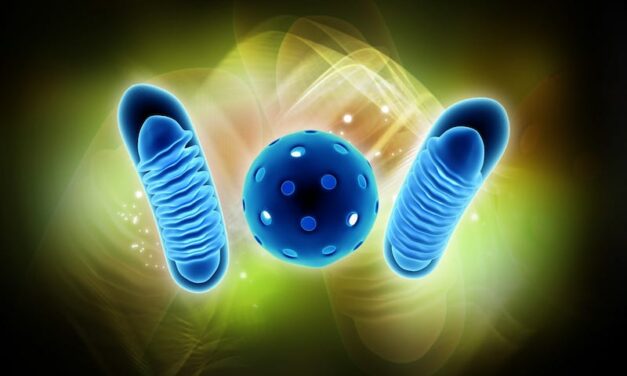 Genetic Roots of Three Mitochondrial Diseases ID’d via New Method