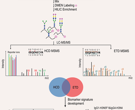New Glycoproteomics Approach Quantifies Data Sets