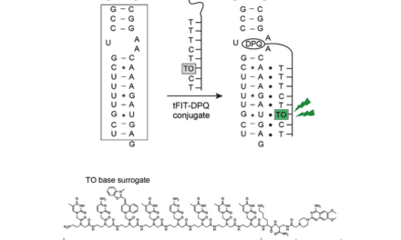 New Influenza Detection Method Emits Light When Specific Targets are Present