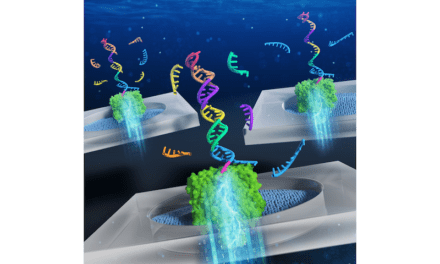 DNA Computing Tech Detects Cancer Biomarkers from Blood Samples