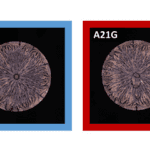 Peptide ‘Fingerprint’ Enables Earlier Alzheimer’s Diagnosis