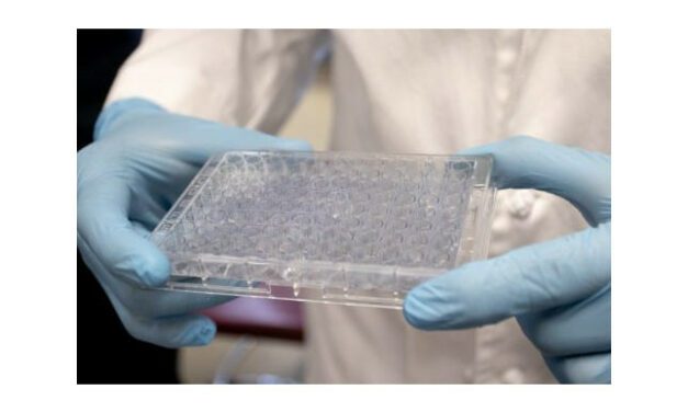 Fast, Efficient COVID Biosensor Under Development