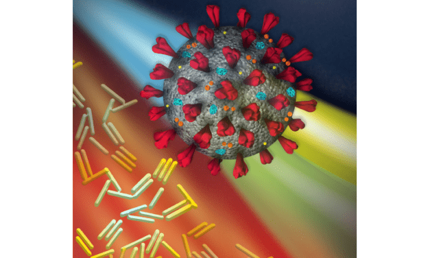 New COVID Rapid-Test Tech Performs PCR Faster than Similar Tests