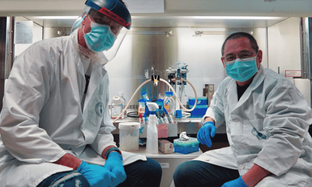 Pin-Prick Test Tracks Immunity to COVID Variants