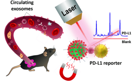 Ultrasensitive SERS Probes Developed to Detect PD-L1 Biomarker