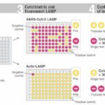NEB Puts Theory into Practice with Employee Testing Program