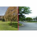 Thomas Scientific Bolsters Distribution and Sales Capabilities with NCI Acquisition