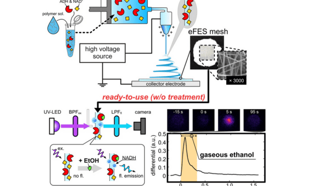 Building Better Gas-Phase Biosensors to Combat Diseases