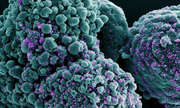 NIH Seeks Next Gen COVID Diagnostics Solutions