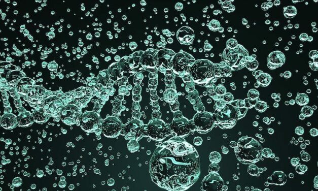 Boston Heart Diagnostics Launches Polygenic Risk Scores