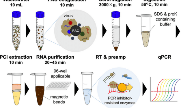 COPMAN Method Can Detect Coronavirus in Wastewater