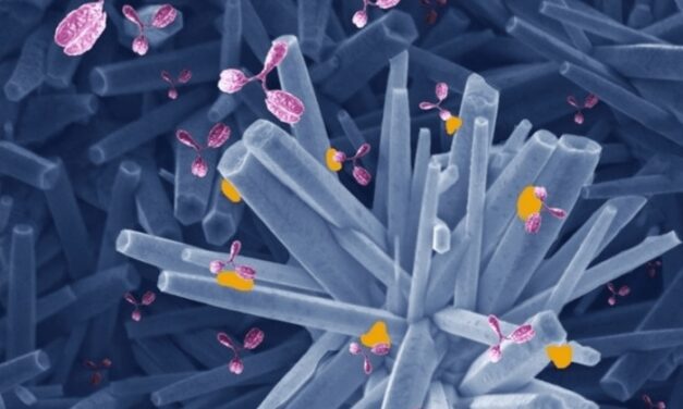Novel Device Detects COVID Antibodies in Five Minutes