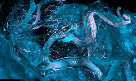 Novel Spatial-omics Technology Enables Early Investigation of Diseases