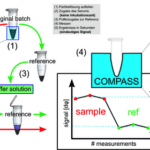 Magnetic Nanoparticles Could Lead to Highly Sensitive Rapid Tests
