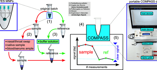 Magnetic Nanoparticles Could Lead to Highly Sensitive Rapid Tests