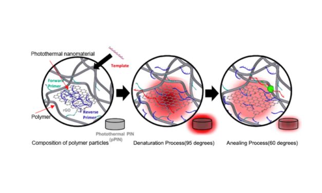 New Fast PCR Tests are Quicker than Self Diagnosis Kits