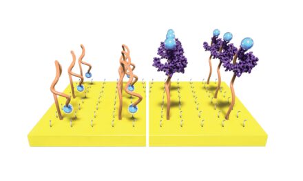 New Plastic Transistor Amplifies Biochemical Sensing Signal