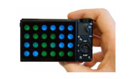 ‘Glow-in-the-Dark’ Proteins Could Help Diagnose Viral Diseases