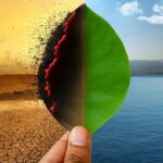 Diagnostic Testing and Climate Change Intersect in New Initiative