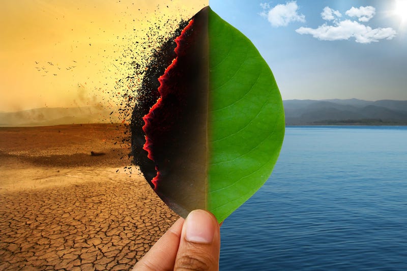 Diagnostic Testing and Climate Change Intersect in New Initiative