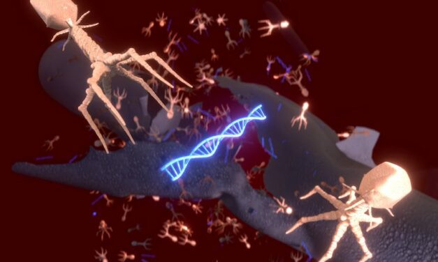 New Centre for Phage Research features Actiphage