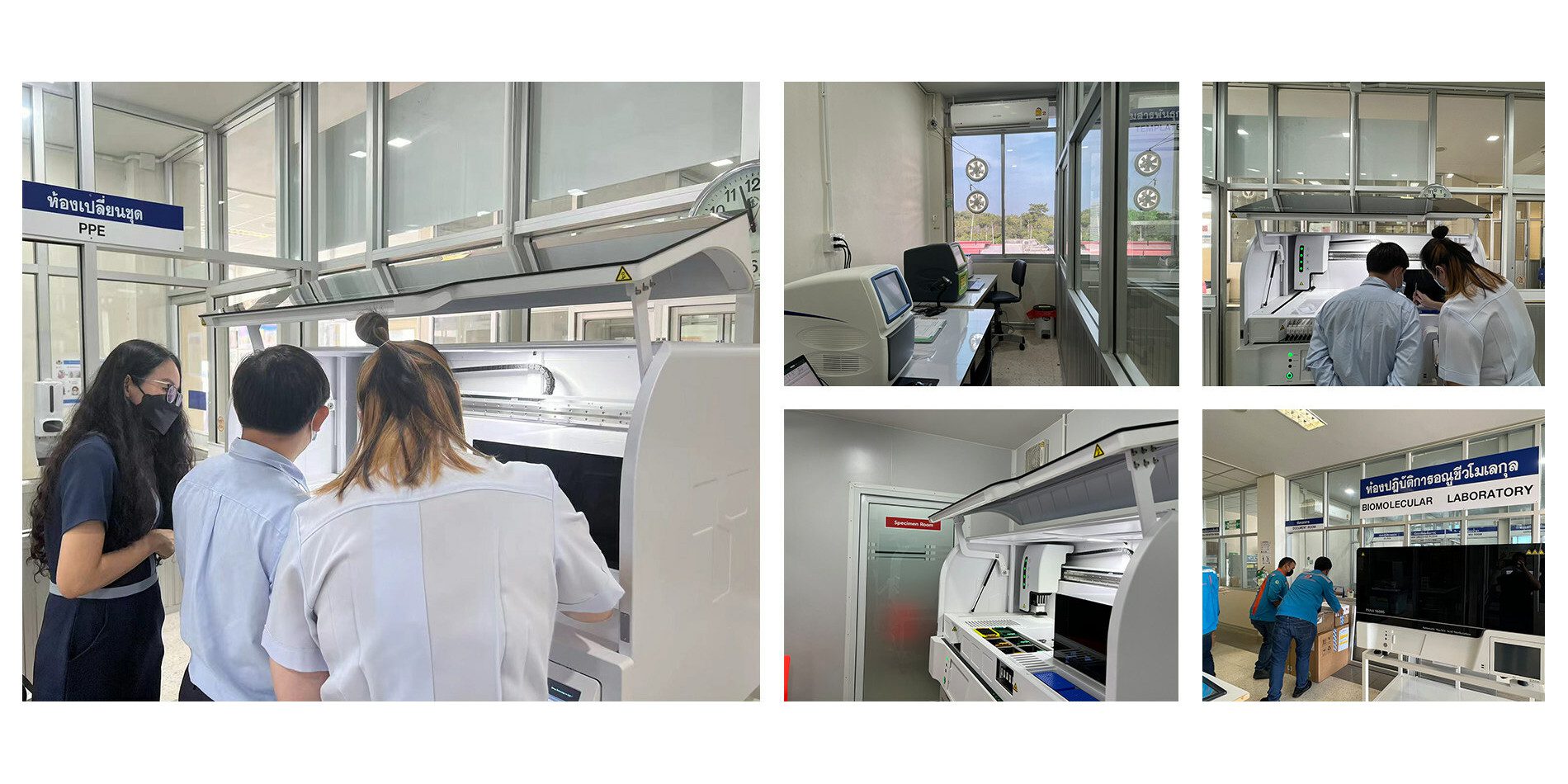 Molecular Diagnostic Solution Helps Hospitals Detect Hepatitis Early