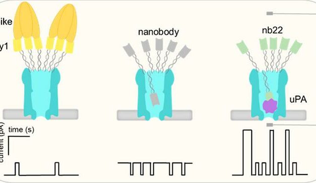 Tiny Nanopores Could Help Detect Diseases More Quickly