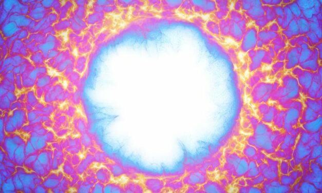 Limb Girdle Muscular Dystrophy Diagnosis Improved by New Approach