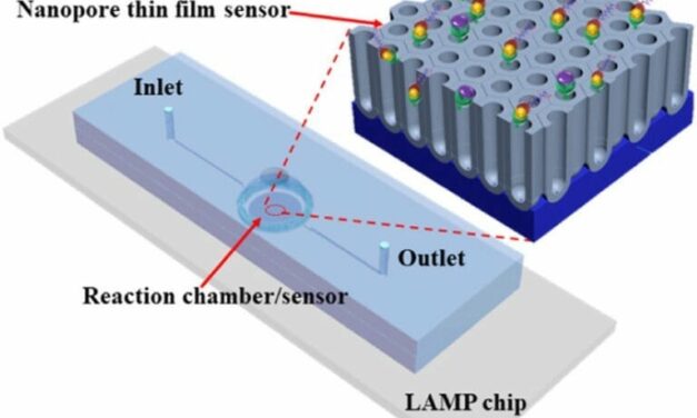 New Sensor Chip Increases Disease Diagnostics 10-Fold