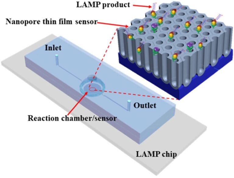 New Sensor Chip Increases Disease Diagnostics 10-Fold