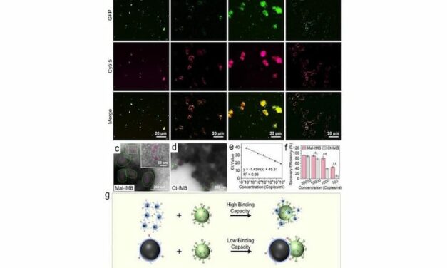 A New Efficient Way to Test for COVID