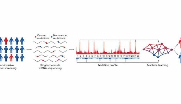 Novel ML Blood Test Detects Cancers with Genome-Wide Mutations in cfDNA Molecules