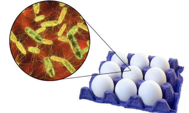 New Rapid, Single Test Detects Salmonella in Poultry