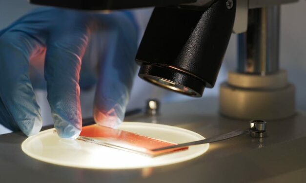 New AI Cell-Analysis System Streamlines Blood Disease Diagnosis