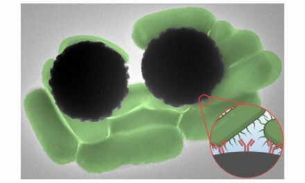 How Tiny Magnetic Beads Can Help Detect Pathogens