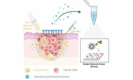 Researchers Develop Minimally Invasive Skin Cancer Monitoring Platform