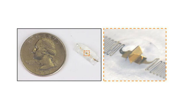 How Origami Might Inform Disease Diagnoses