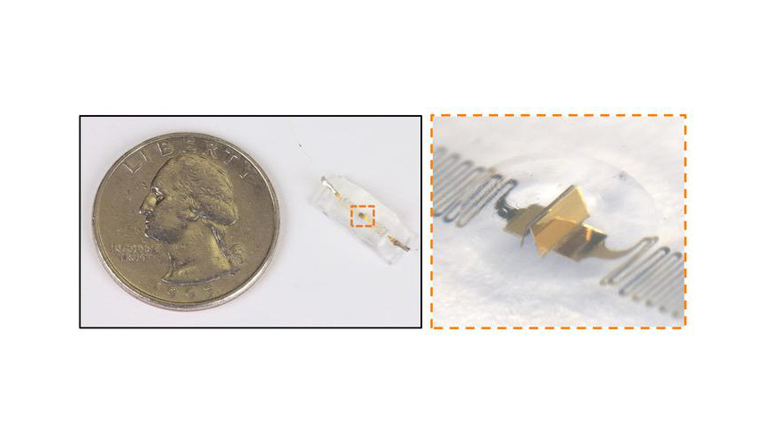 How Origami Might Inform Disease Diagnoses