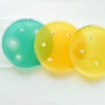 Antimicrobial Resistance: Trend or News Hook?