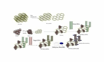 Researchers Develop Novel DNA Biosensor for Early Cervical Cancer Diagnosis