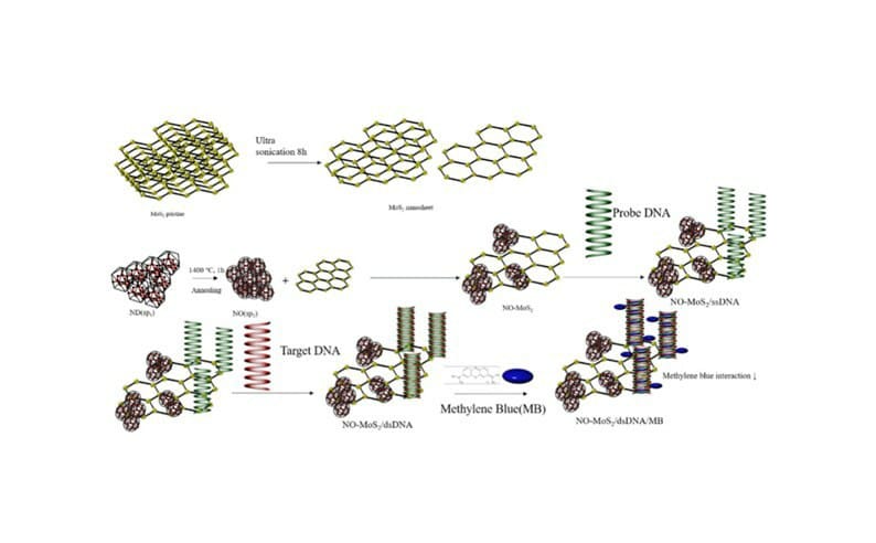 Researchers Develop Novel DNA Biosensor for Early Cervical Cancer Diagnosis