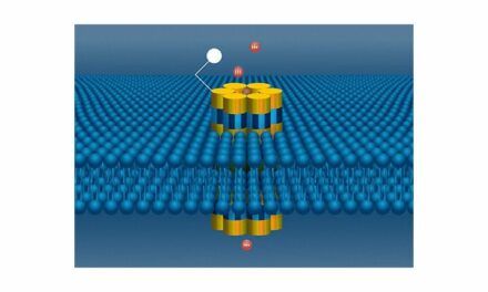 Disease Detection Device Combines Nanopores with Electronic Signals