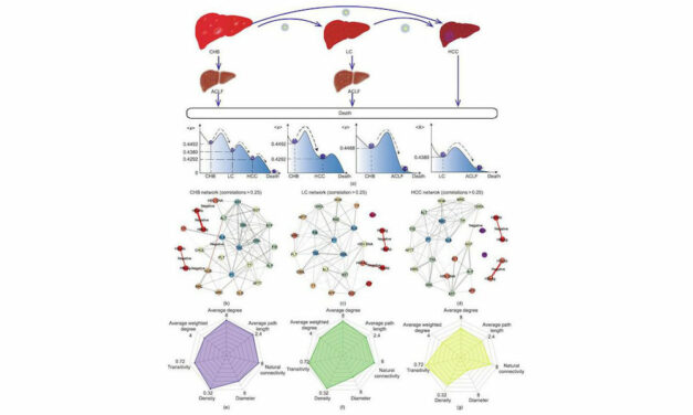 New Study Proposes Resilience Approach for HBV Disease Diagnosis Via Blood Tests