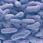 AMP Publishes Report on Use of Multiplex Panels for Infectious Diseases Diagnosis